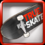 True Skate破解版