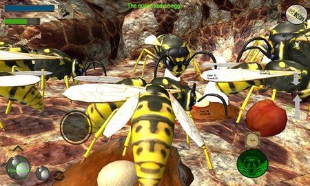 大黄蜂进化史截图2